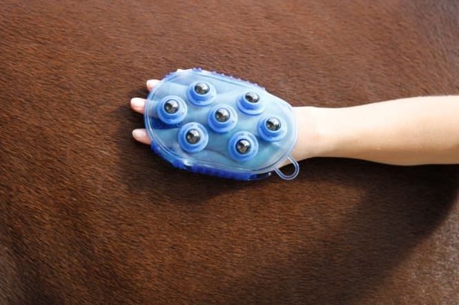 Hovedbilde Kerbl Magnet Massage Curry Comb
