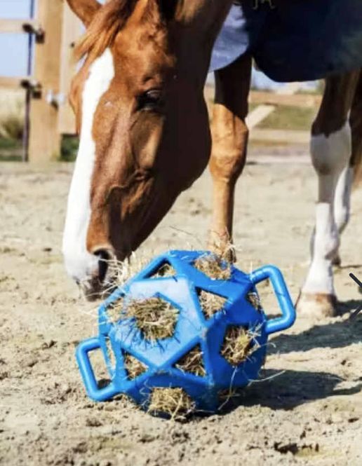 Hovedbilde Kentucky Relax Horse Play & Hay Ball