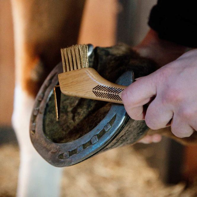 Hovedbilde Grooming Deluxe Hoof Pick w/ Metal Bristle