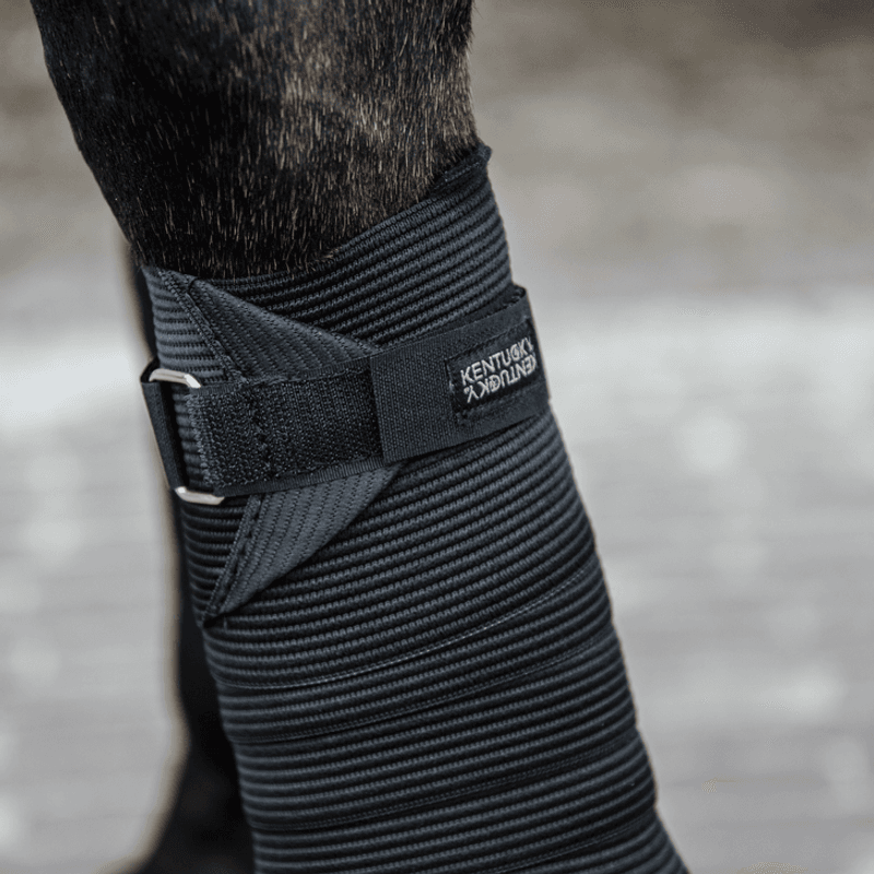 Kentucky Polar Fleece & Elastic Bandage