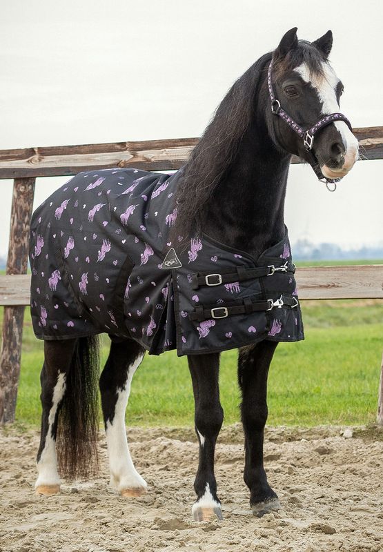 Turnout Rug Lize