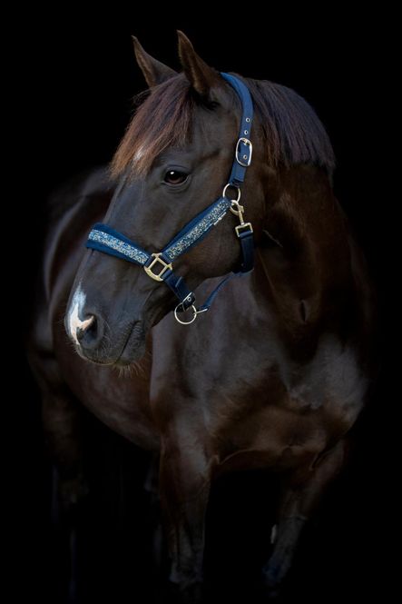 Hovedbilde HorseGuard Angel Grime m/Glitter