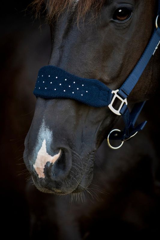 Horse Guard Anabel Grime