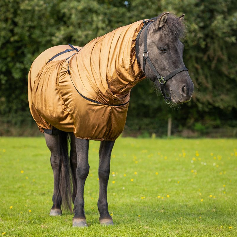 QHP Eczema Rug Icelandic Brun