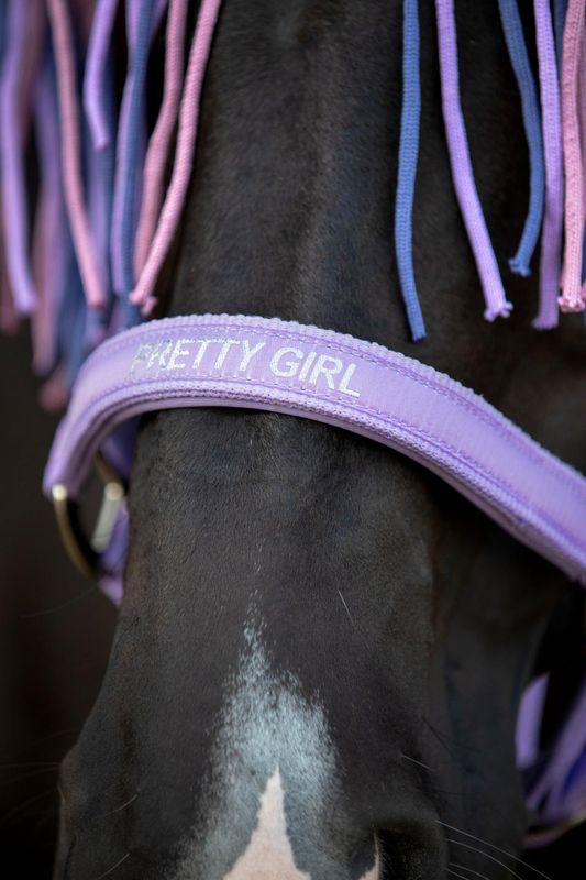 HorseGuard Malva Grime Lilla 