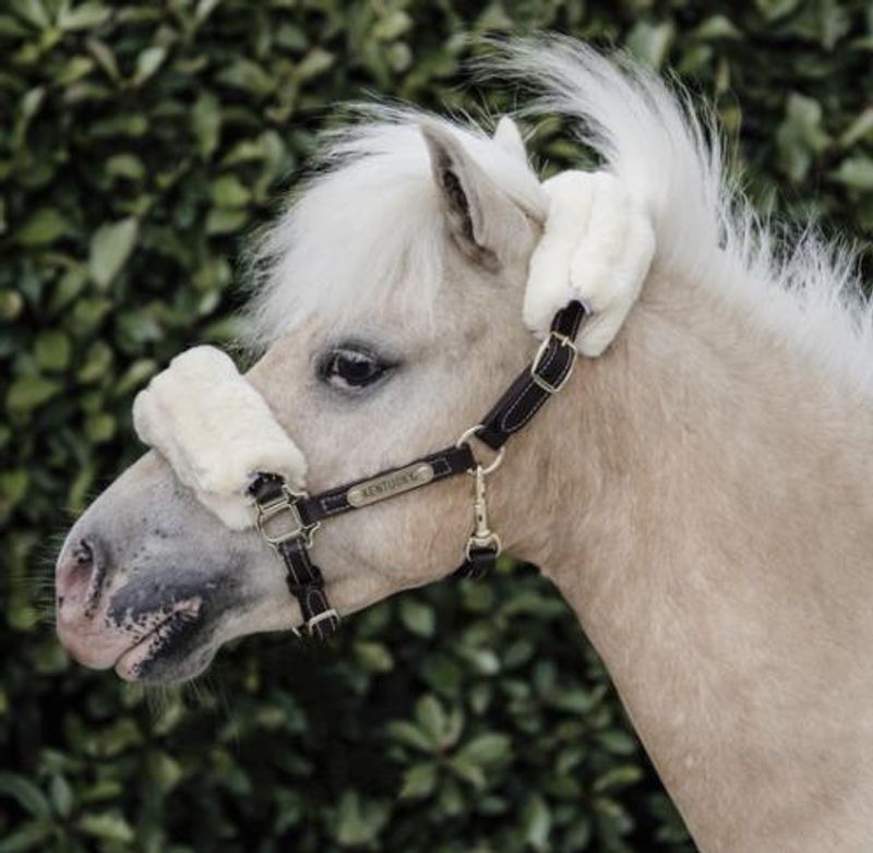 Kentucky Leather Halter Sheepskin 