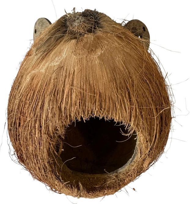 Hovedbilde Coco Monkey 2