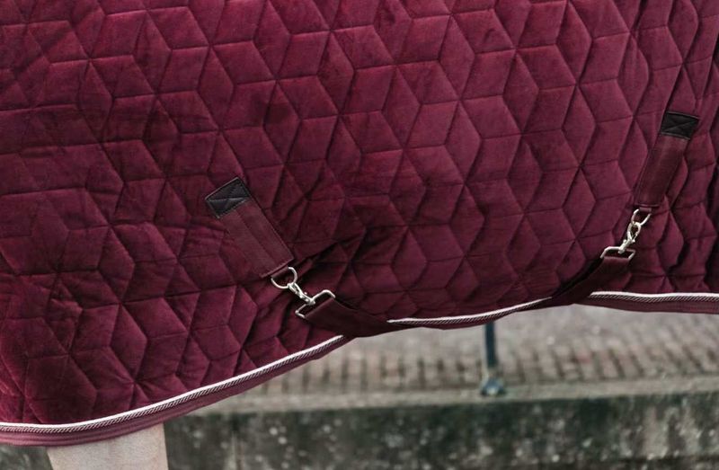 Kentucky Show Rug Velvet