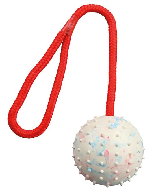 Hovedbilde Trixie Ball m/tau