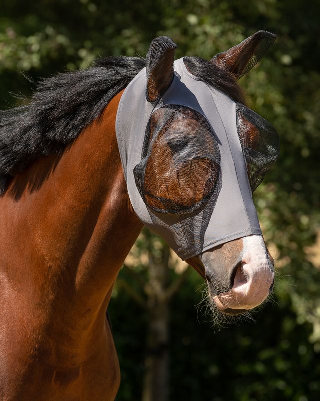 QHP Fly Mask Super Bug