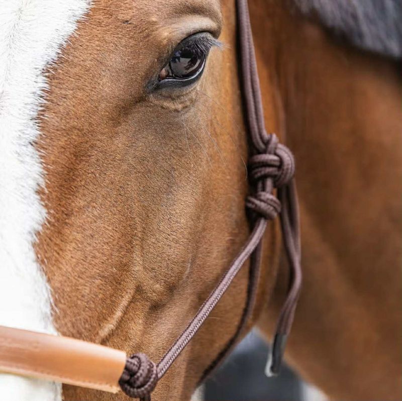 Kentucky Rope Halter