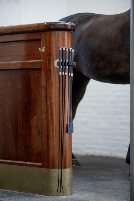 Hovedbilde Tahira Sprangpisk