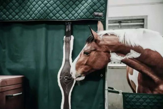 Hovedbilde Kentucky Stable Curtain Waterproof
