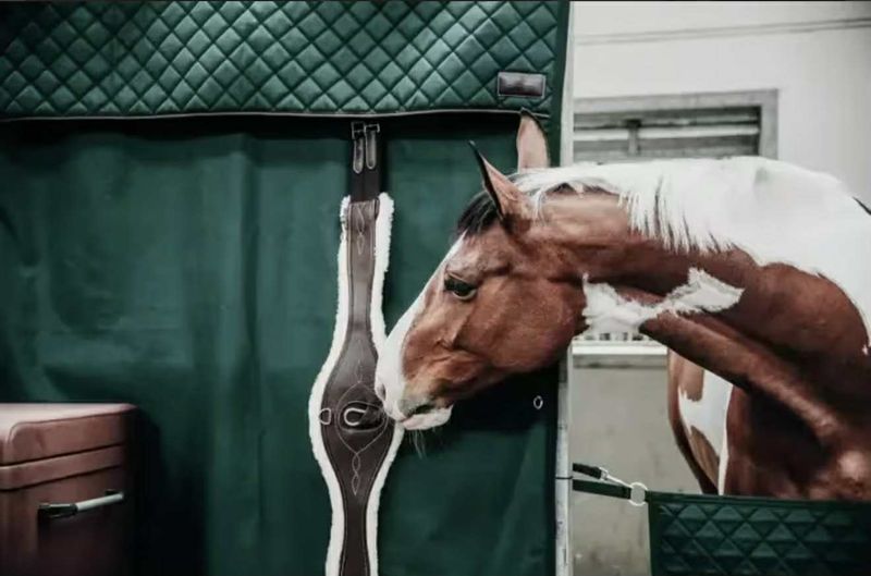 Kentucky Stable Curtain Waterproof