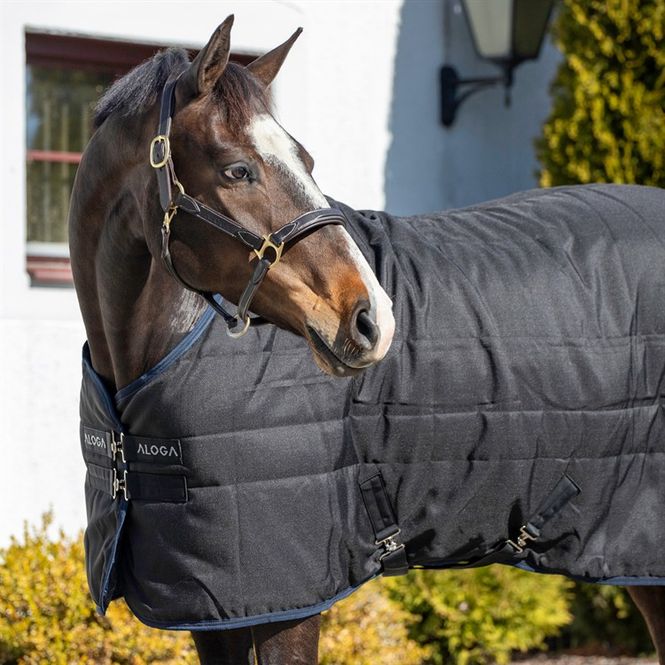 Hovedbilde Aloga Pro Stable 400g