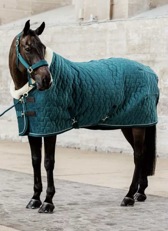 Kentucky Show Rug Velvet