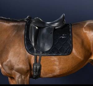Bilde av Dyon Corduroy Svart Dressur