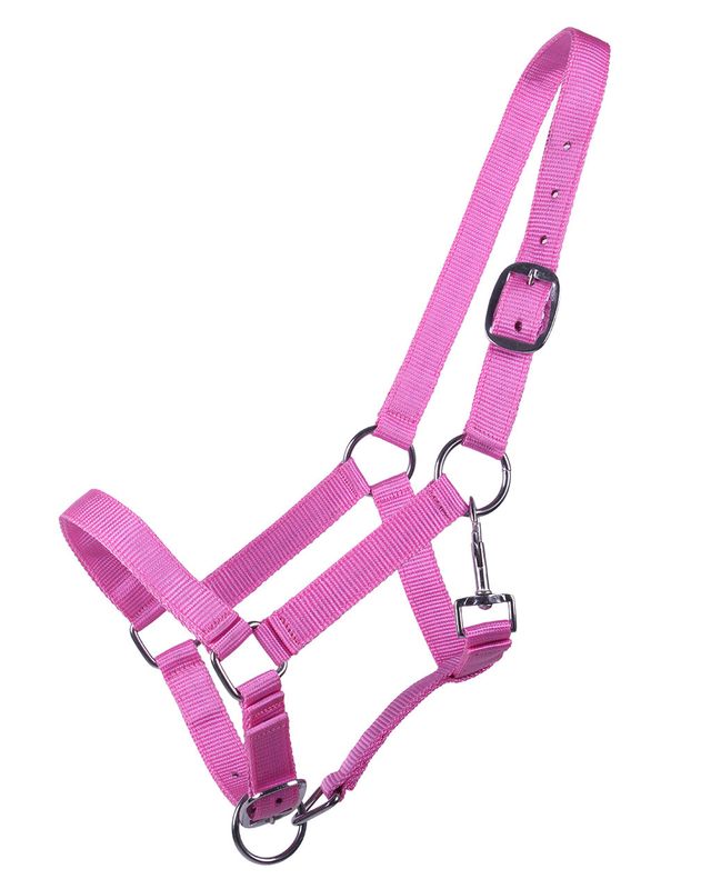 QHP Head Collar Yearling