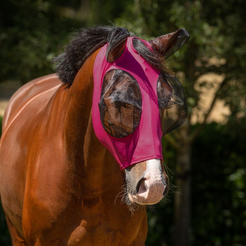 QHP Fly Mask Super Bug