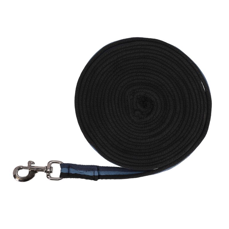 Lunging Line