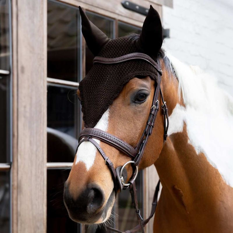 Kentucky Fly Veil Long Soundless